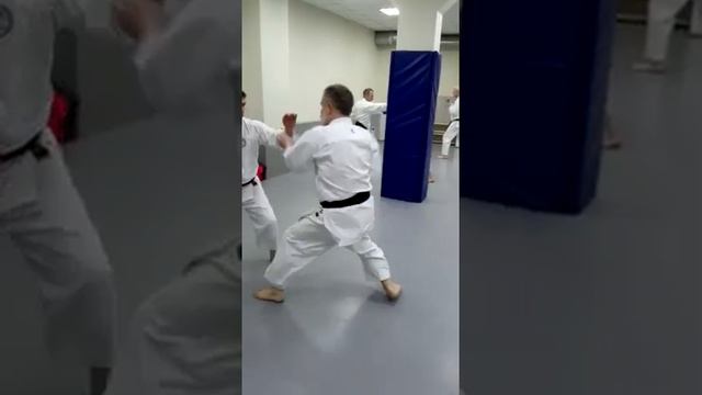 Kaeshi kumite with Shihan Dormenko Andrey 8 Dan ISKF смотреть онлайн