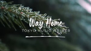🍂 Музыка без авторских прав — 'Way Home' by @tokyowalker4038   🇯🇵