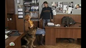 Возвращение Мухтара 2. Артист