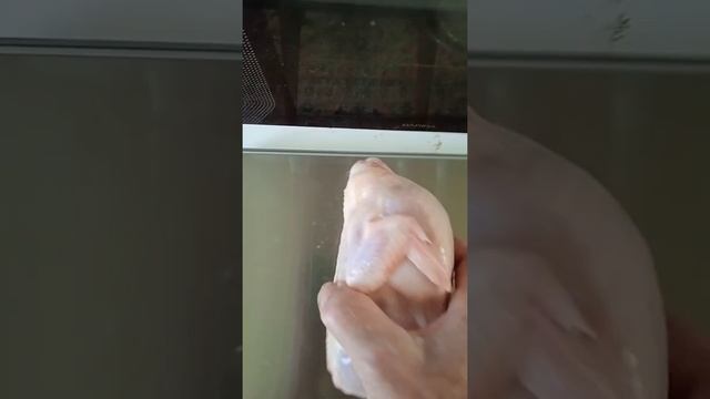 Тушки мясных перепелов Дмитриевской породы смотреть онлайн