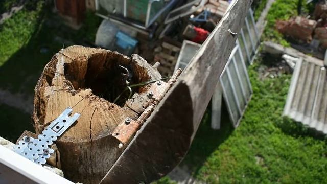 Дуплянка для птиц. смотреть онлайн