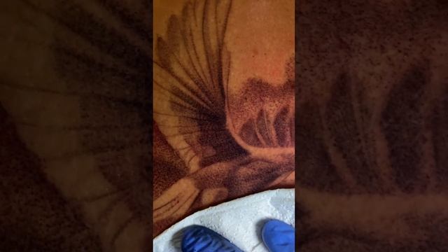 Tattoo whip shading #tattoo #tattooartist #losangelestattoo смотреть онлайн
