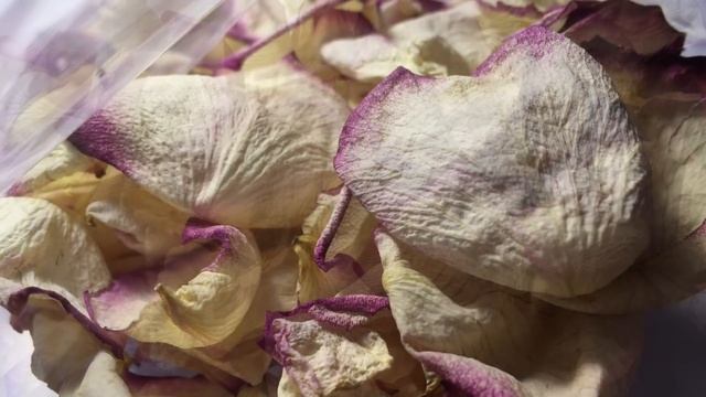 ?Самое Быстрое И Лёгкое Укоренение Роз Из Букета / Часть 1 смотреть онлайн