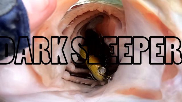 One SIMPLE Trick to catch MORE Bass this Winter - (Winter Bass Fishing) смотреть онлайн