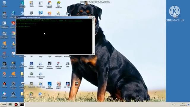 КАК СДЕЛАТЬ ЭФФЕКТ МАТРИЦЫ НА КОМПЬЮТЕРЕ!?! Матрица - Приколы с Windows | C10V | Lenoryak смотреть онлайн
