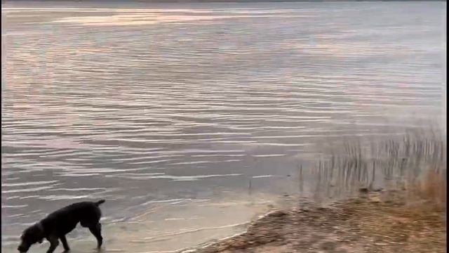 База Белая Поляна / отдых,рыбалка на щук,окуней на северных озерах в ХМАО. #базаотдыха #рыбалка