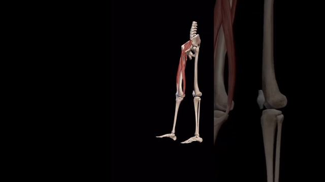 Бег без травм, важно знать #здоровье #бег #советы смотреть онлайн