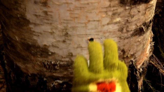 Приключения Ярика и Даши(Сок берёзовый) Рецепт правильного сбора берёзового сока. смотреть онлайн