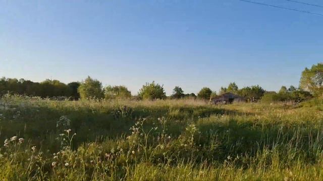 Земельный участок в Зеленоградском районе Калининградской области - Риэлт-Финанс смотреть онлайн
