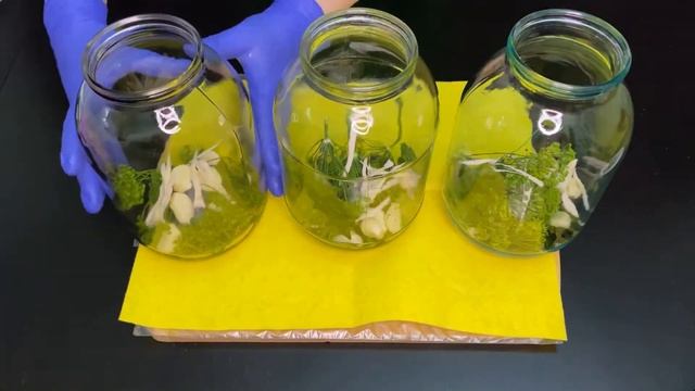 Маринованные помидоры ???? на зиму обалденный рецепт смотреть онлайн