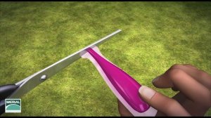 Как правильно обработать собаку каплями от клещей.