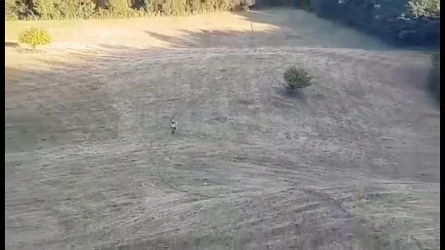Kawasaki Kx 125 || Suzuki Rm 250 || Enduro || Cpi Sm 80 || Supermoto || Super Cross || смотреть онлайн
