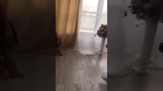 Backstage Юля Костюшкина