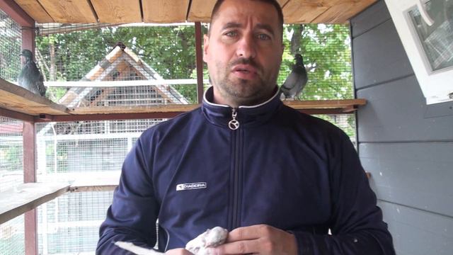 Цыплят по осени считают смотреть онлайн