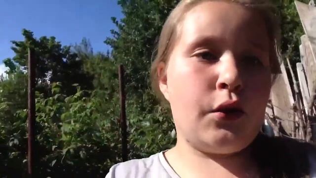 Поездка на дачу бабушки:з смотреть онлайн