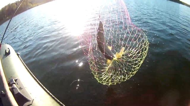 ? РЫБАЛКА на ХИЩНИКА после Нереста | Ловля ОКУНЯ и ЩУКИ | Обзор Сумки, Подсака, Мотовило, Рыбочистк смотреть онлайн