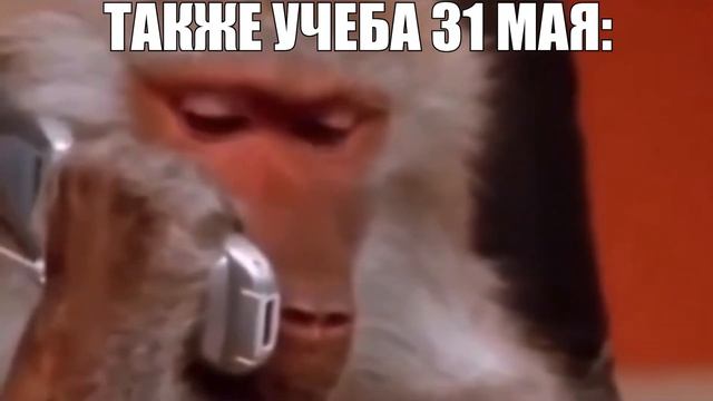 Я: впервые делаю домашнее задание смотреть онлайн