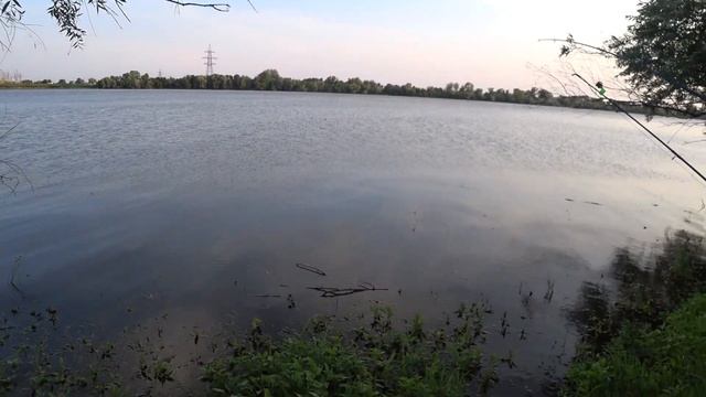 Сазан лучше клюёт на бутылку чем на закидушку! смотреть онлайн