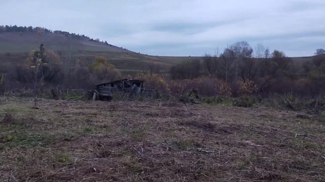 Приятные хлопоты/ Алтайский край смотреть онлайн