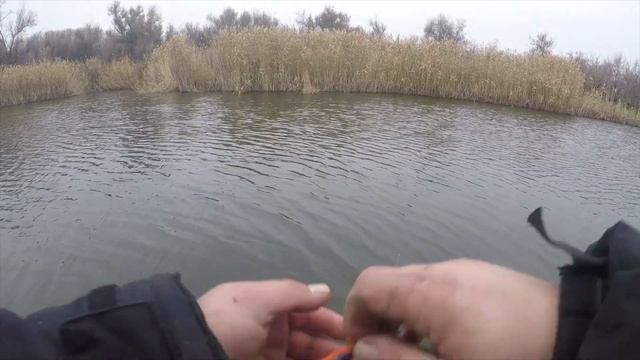 Ловим Окуня На Спиннинг При -2°C. Тест Нового Цвета. смотреть онлайн