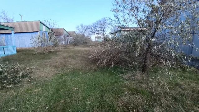 28 ноября 2023//С Темрюка через Голубицкую к Пересыпи на базу. Азовское море, пляжи после стихии! смотреть онлайн