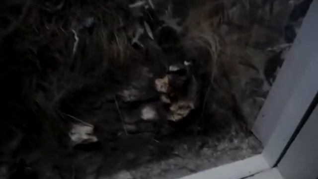 Мир вашему дому смотреть онлайн