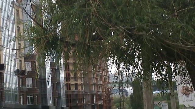 Куда можно сходить в Белгороде смотреть онлайн