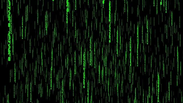 Пётр Гаряев. Новая Как с ИГОЛОЧКИ поджелудочная железа. смотреть онлайн