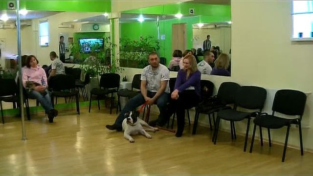 Отзывы о "Компаньоне" - 10 смотреть онлайн