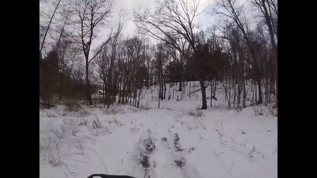 4 wheeling with Polaris 570 and 1000 Sportsman and with German Shepherd (Luther) смотреть онлайн