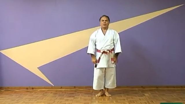 8-3, Variation 2, Taikioku Shodan , Gedan Barai, Mae geri смотреть онлайн
