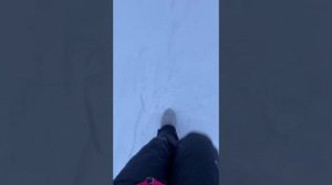 Приполярный ХМАО-Югра январь 2021