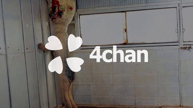 Lost Media Found In The Strangest Ways | Blameitonjorge