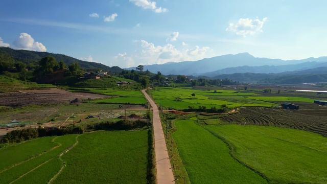 The Latest Incredible Discoveries At The Pompeiian Village Of Afragola Change Everything смотреть онлайн