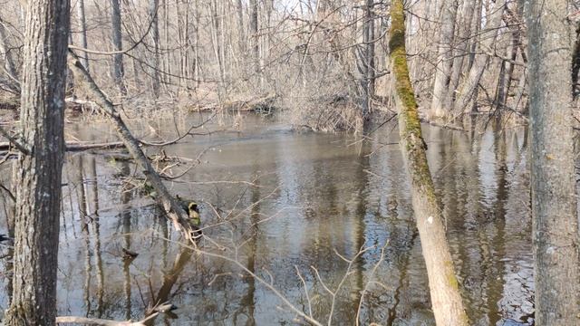VID_20230326_131755 смотреть онлайн