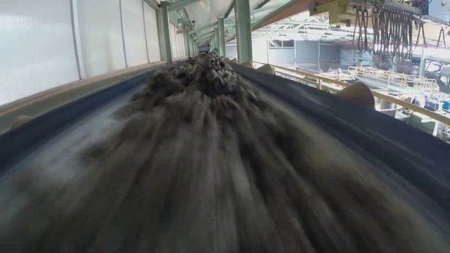 Rijswaard корпоративное видео смотреть онлайн