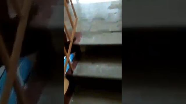 СДАМ 2-ю НА пр.ДЗЕРЖИНСКОГО В Г. НОВОСИБИРСКЕ смотреть онлайн