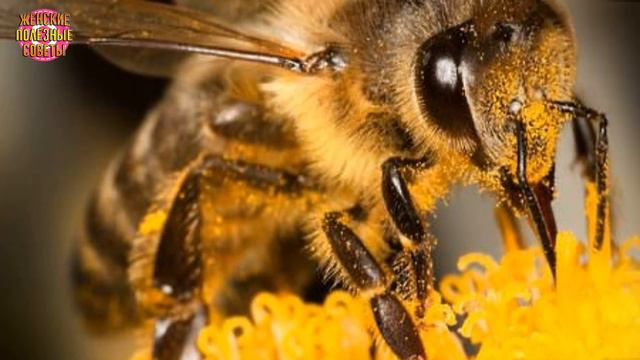 Как я ЗАБЫЛА О БОЛЕЗНЯХ в сезон простуд! Делюсь простыми способами повышения иммунитета! смотреть онлайн