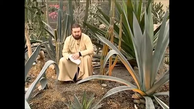 Псалом 18. Отец Андрей смотреть онлайн