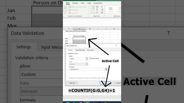 Excel Customize Data Entry Forms | Using Data Validation to avoid duplicates смотреть онлайн