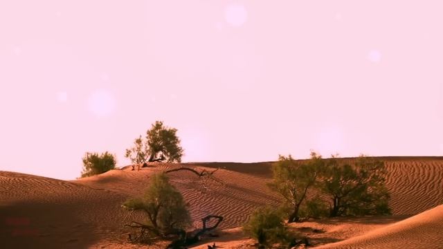 Во время родов закричала от ужаса, увидев другую роженицу. Все были в шоке, когда поняли почему смотреть онлайн