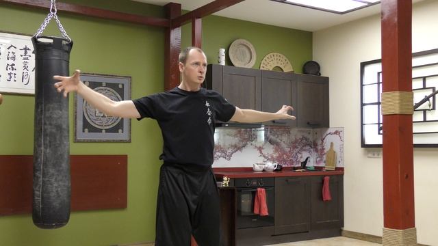 "Змея"и "Дракон"Формы Юн Чун смотреть онлайн