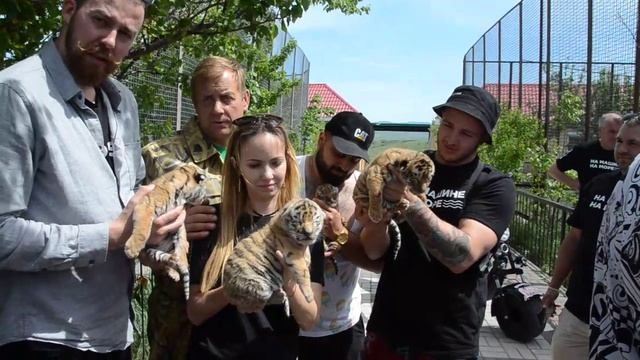 Сафари в Крыму смотреть онлайн