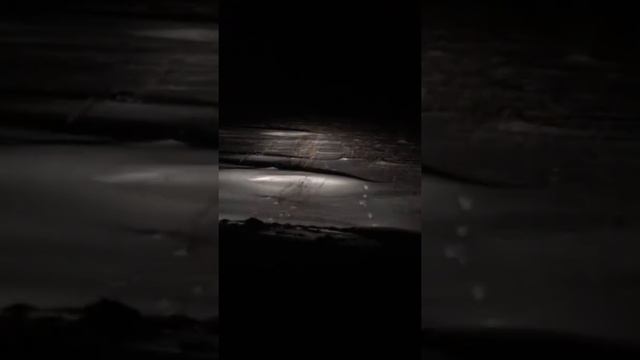 RENAULT Kangoo 4х4. смотреть онлайн