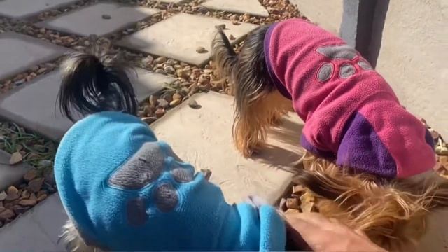 Head lights fix cinematics&so much more!!! ?#4AF #Toyota #Conquest #AE92 ?? смотреть онлайн