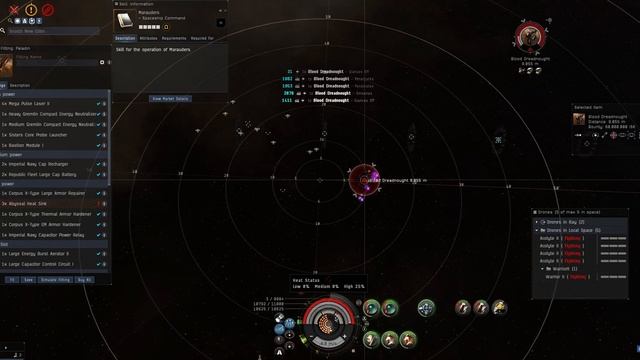 Eve Online - Paladin Solo Blood Dreadnought Cap Stable - 3k DPS