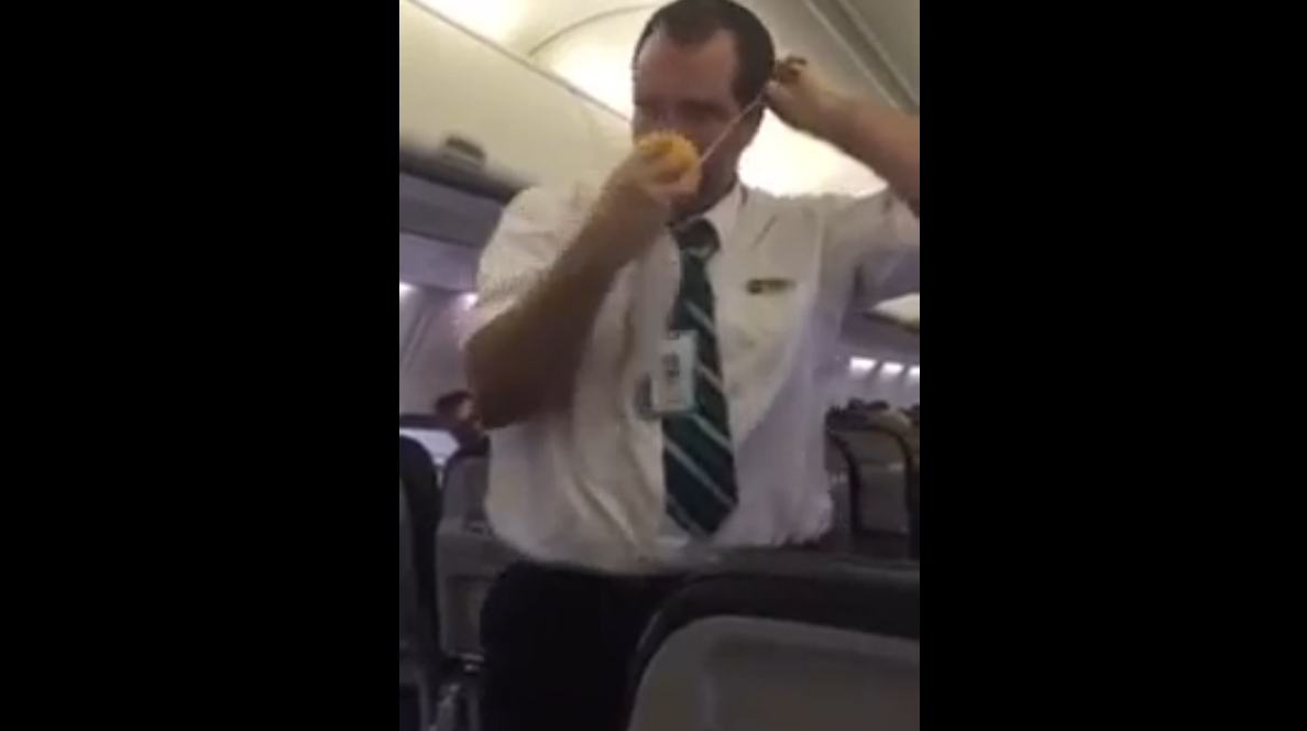 Бортпроводник канадской авиакомпании веселит народ смотреть онлайн