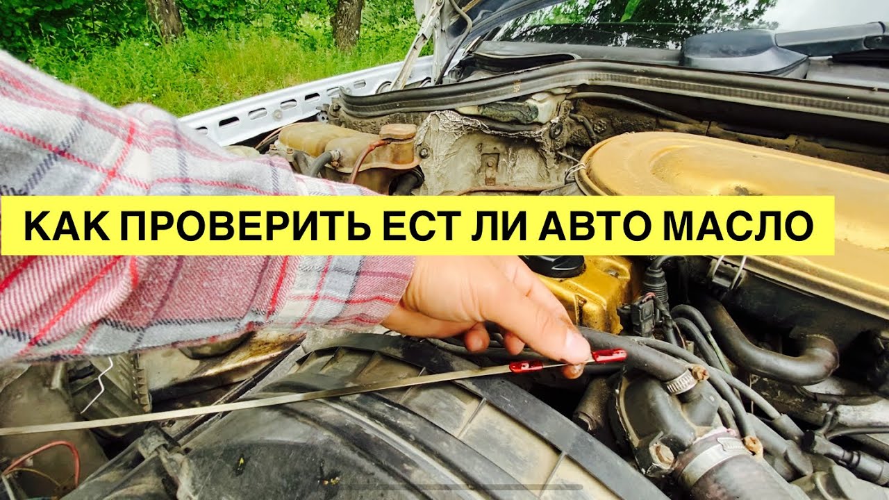 Как проверить ест ли машина масло. Определяем масложор двигателя. смотреть онлайн