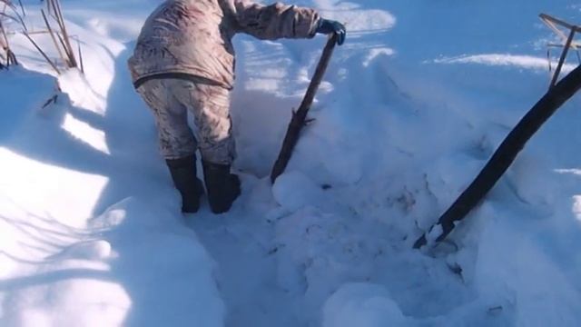 Проверяем капканы на куницу и бобра! смотреть онлайн