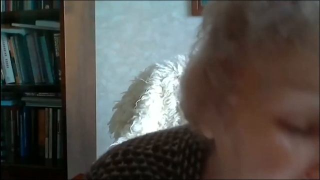 Вебинар журнала СоцИс смотреть онлайн